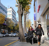 Garosugil11-thumb.jpg
