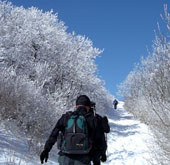 trekking1-thumb.jpg