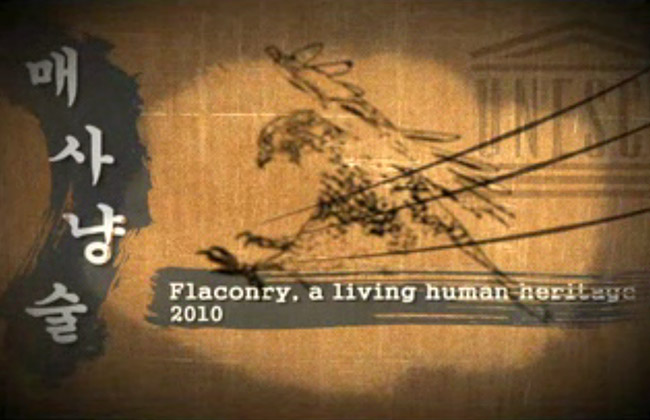 thumbnail_small_falconry.jpg