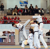 Kukkiwon_Press_th.jpg