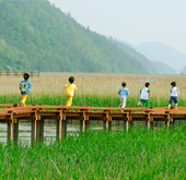130308_suncheon_thm.jpg