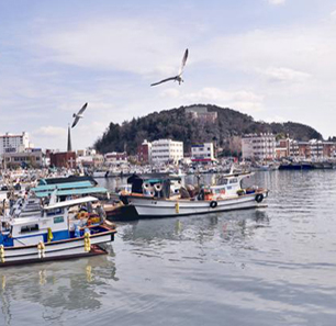 tongyeong_th.jpg