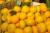 New technology developed to identify tangerine breeds 