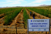 Asian nations work together to stop desertification
