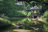 A closer look at royal gardens of Korea, China, Japan 