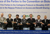 Int'l biodiversity conference opens in Pyeongchang