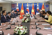Korea holds summits with Vietnam, Malaysia
