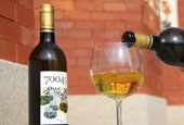 Enjoy the taste, aroma of Darae kiwi wine