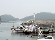 Taean Mohang Port Marine Product Festival