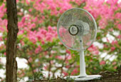 Must-have item for the summer: Shinil electric fan