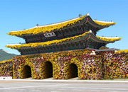 Hampyeong Grand Chrysanthemum Festival