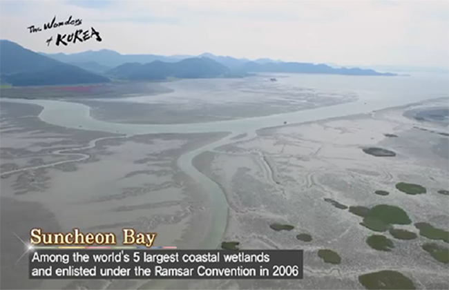 The Wonders of Korea-Ep.2 Mud flats, the land of coexistence