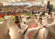 World Taekwondo Culture Expo