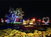 Iksan Ten Million Chrysanthemum Festival 