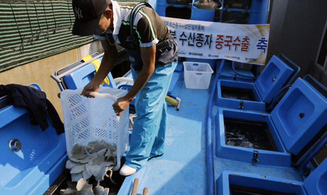 New variety of flatfish exported to China