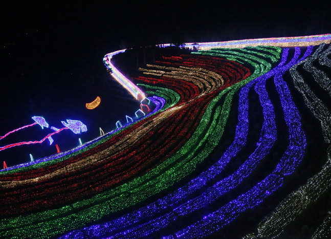 Boseong Green Tea Plantation Light Festival