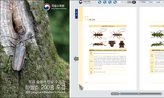 Beetle research released as e-book