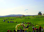 Gochang Green Barley Field Festival