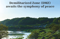 June's Korea Monthly: DMZ