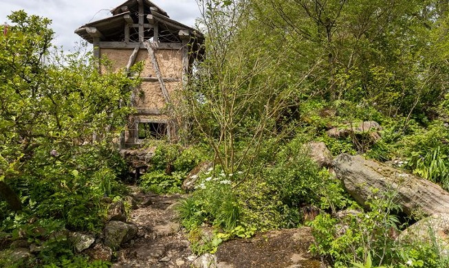Mountain-inspired garden wins gold at UK Chelsea Flower Show