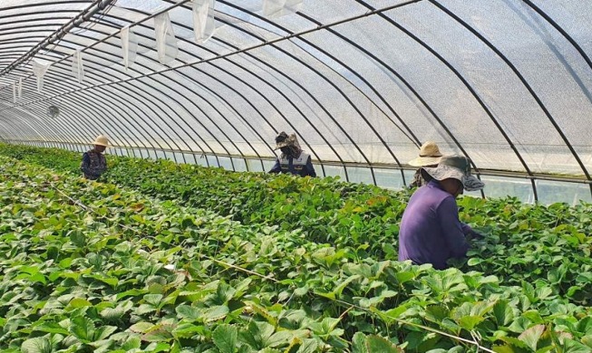 18 local gov'ts to run early adaptation for seasonal workers