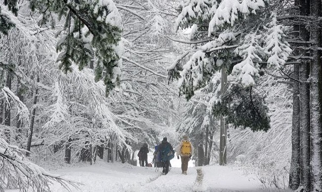 Hikers walk along snowy landscape of Daegwallyeong Pass