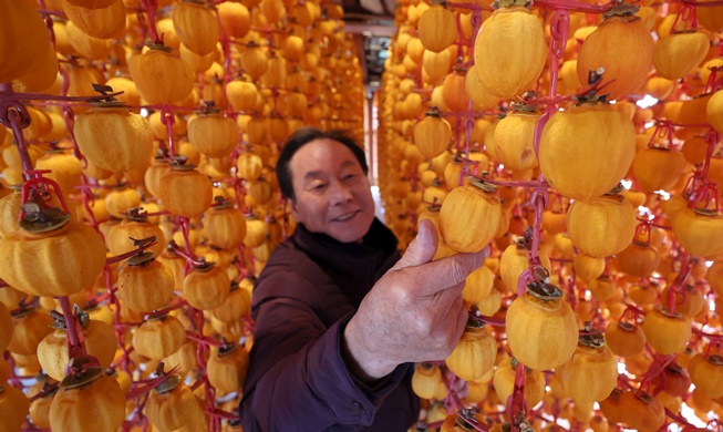 Checking dried persimmon amid snow forecast