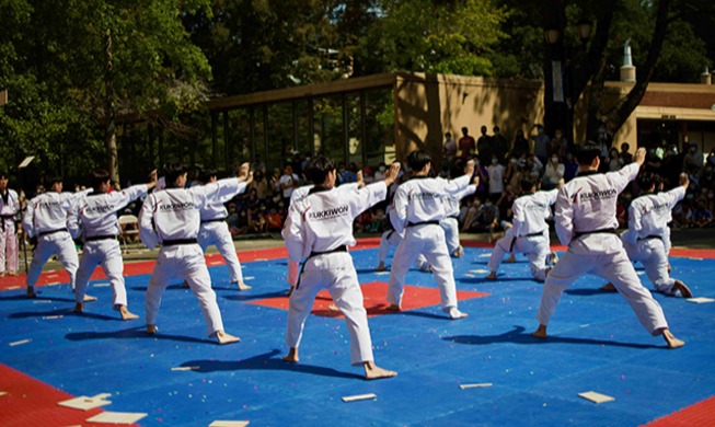 Culture ministry releases video marking Taekwondo Day