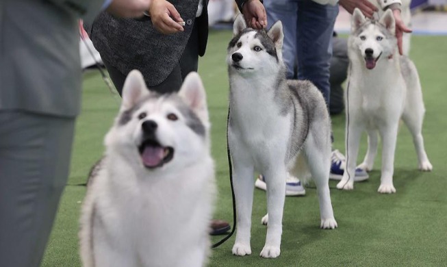 Korea Premier Dog Show honors nation's best canines