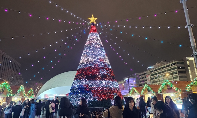 Seoul Winter Festa