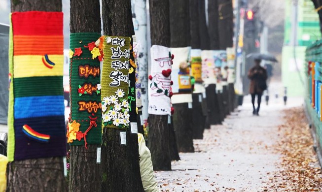 Trees ready for winter with knitted decorations