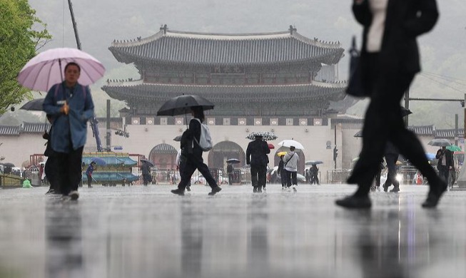 Spring rain falls on Gwanghwamun Square