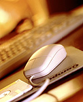 200812417425132895.jpg