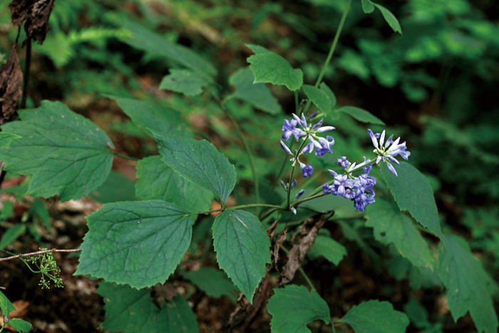 1105700_6.jpg