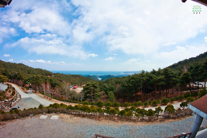 Chilbosan Mountain Natural Recreation Forest 