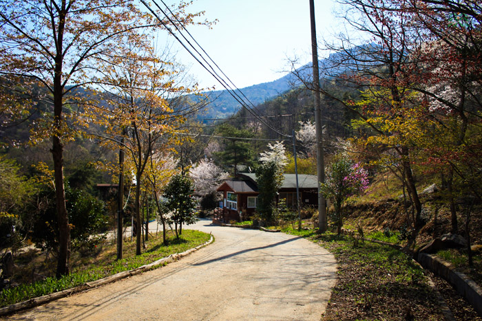 Entranceway to Cheongwansan Recreation Forest 