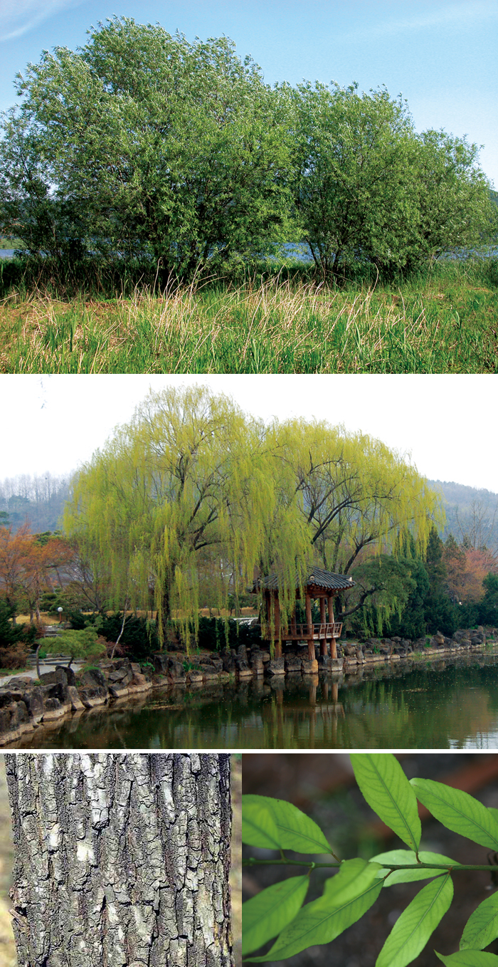 140403_korea_nature2.jpg