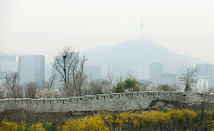 The Inwangsan Mountain Flower Trail stretches along the ridgeline and is frequented by people who want to both drive and walk. (photos: Jeon Han) 