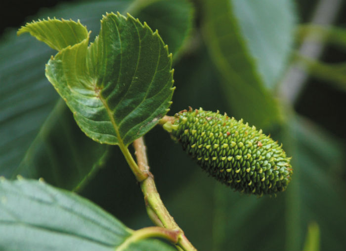 140410_korea_nature_2_1.jpg