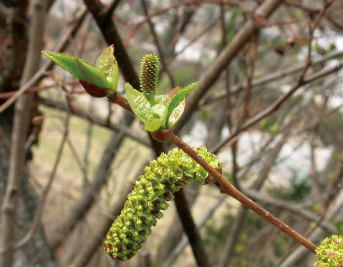 140410_korea_nature_2_2.jpg