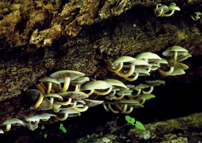 140410_korea_nature_3.jpg