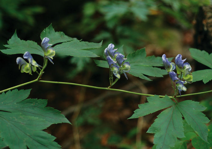 140410_korea_nature_4.jpg