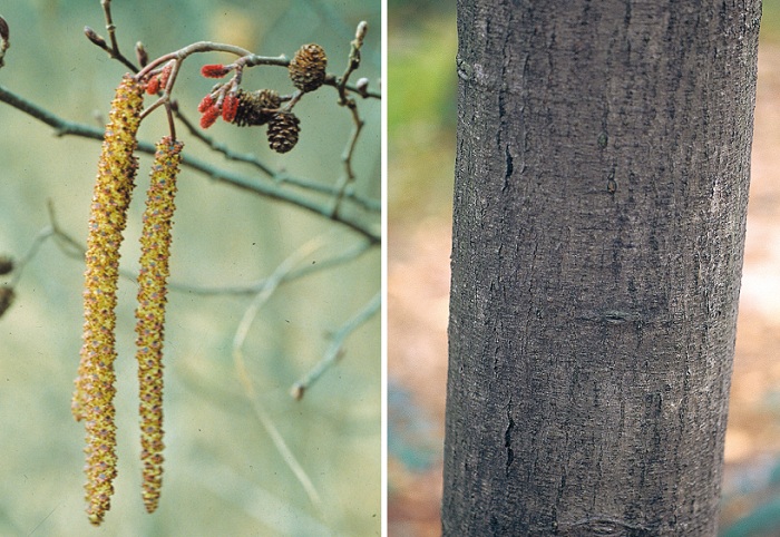 140424_korea_nature_222.jpg