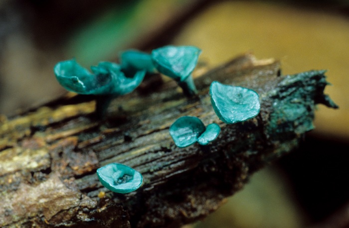 140424_korea_nature_3.jpg