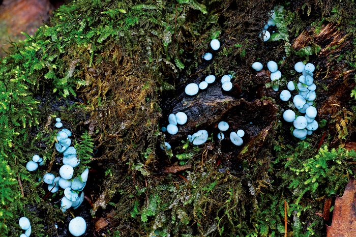 140424_korea_nature_33.jpg