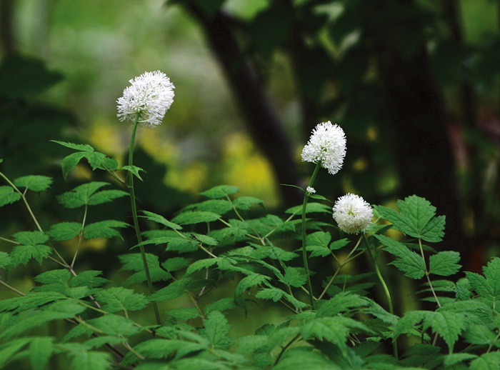 140424_korea_nature_4.jpg
