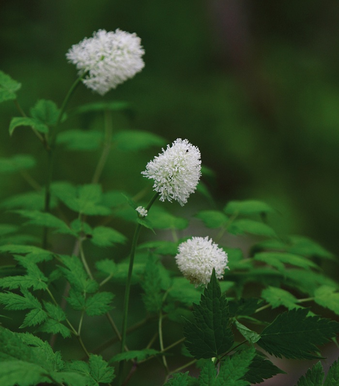 140424_korea_nature_44.jpg