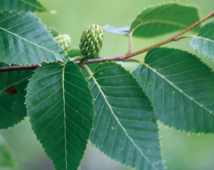 140501_korea_nature_2.jpg