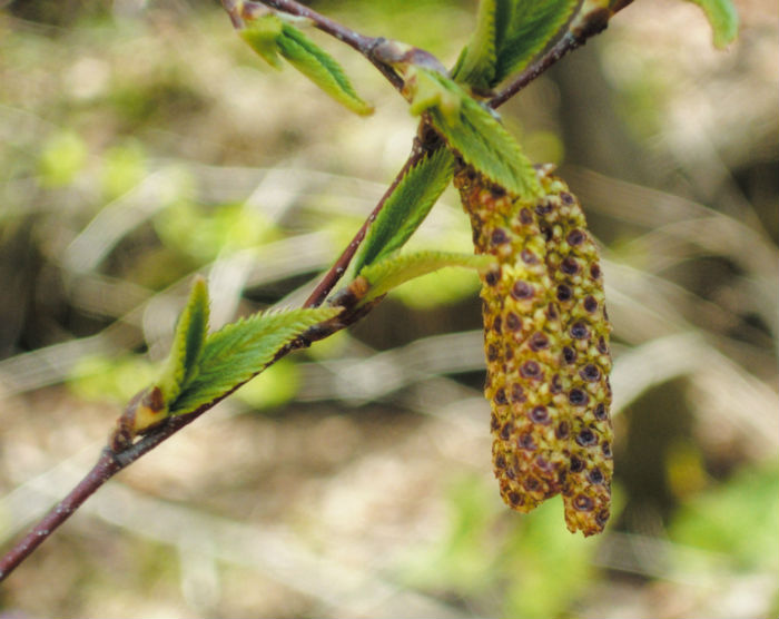 140501_korea_nature_22.jpg