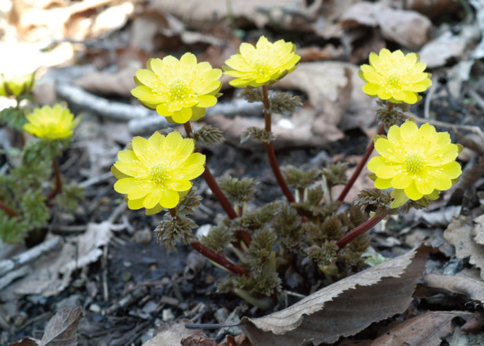 140501_korea_nature_4.jpg
